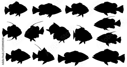Black Silhouette Various Poses Fish Collection Graphic Element Set