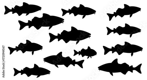 Silhouette Group of Cod Fish Swimming Together Seafood Illustration