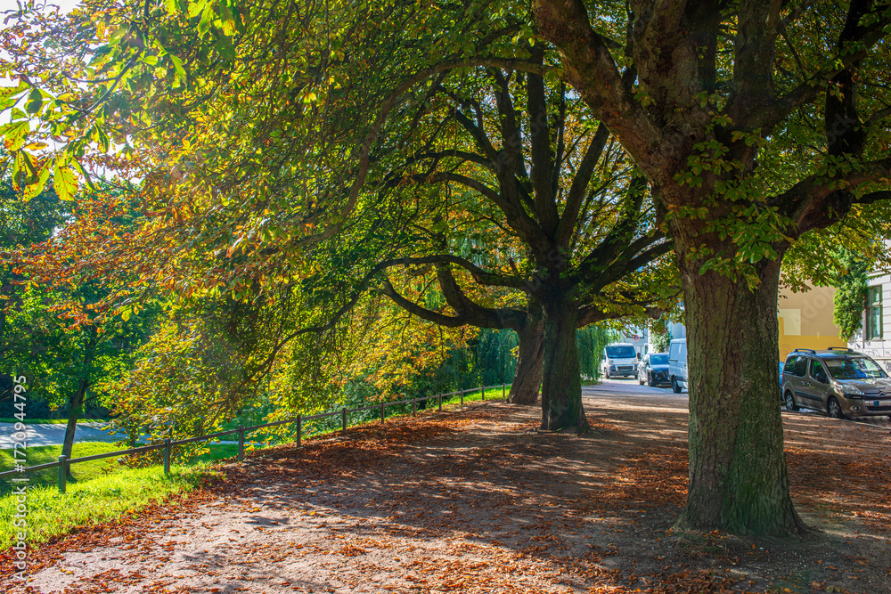 Naklejka premium Park im Spätsommer in Rostock