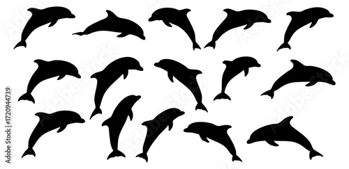 Silhouette Black and White Playful Dolphin Jumping Mammal Group Illustration