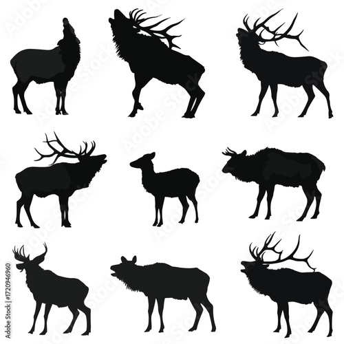 Elk bugling silhouette set black and white wildlife illustration