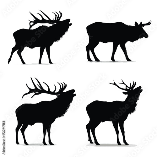 Black and white elk bugling silhouette set