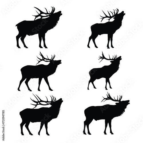 Elk bugling silhouette set in black and white