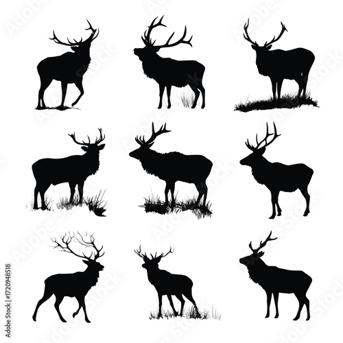 Black and white elk shed silhouette set