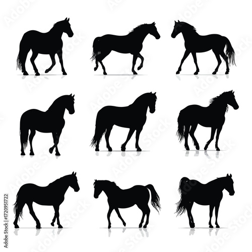 Set of black and white equine silhouettes