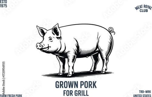 Whimsical hand-drawn illustration of a smiling pig, perfect for food and agricultural themes.