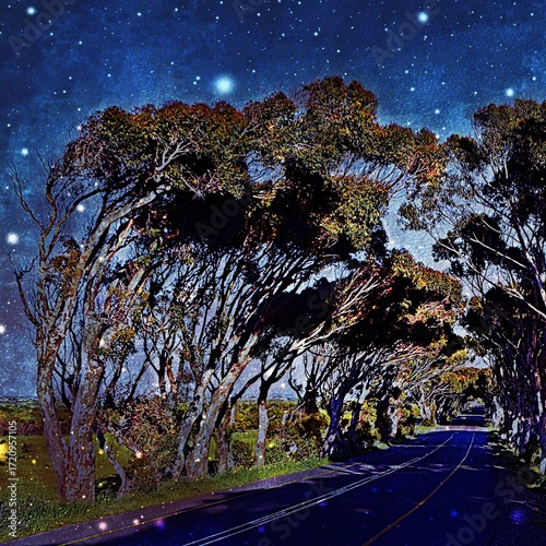 Landscape with a long Eucalyptus tree Avenue mixed media