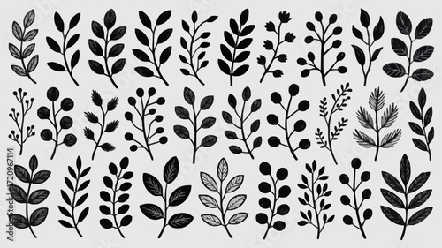 Black Silhouette Botanical Branches & Leaves Vector Illustration
