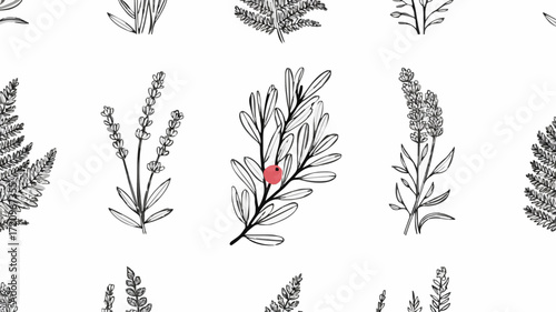 Botanical Line Art Vector – Hand Drawn Floral Herbs & Leaf Illustration Pattern