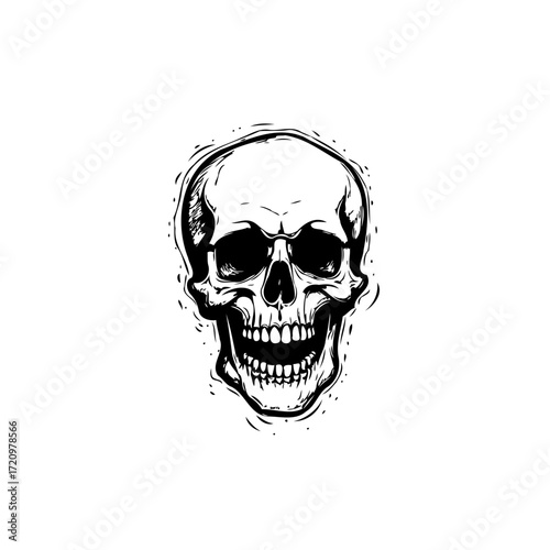 Monochromatic skull artwork displaying detailed bone structure and subtle shadowing techniques