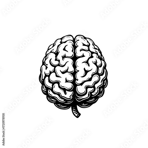 Monochrome cerebral illustration symbolizing intellect cognition awareness and potential for