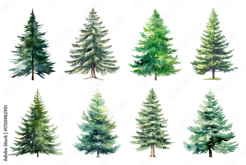 Obraz premium Watercolor evergreen tree illustrations