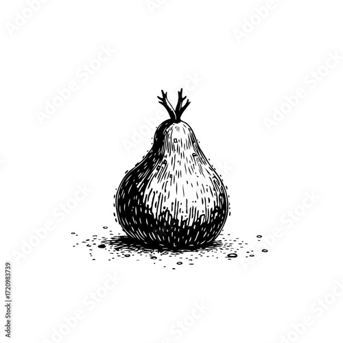 Vintage pear illustration showcases rustic charm with a delicate and timeless single fruit vector