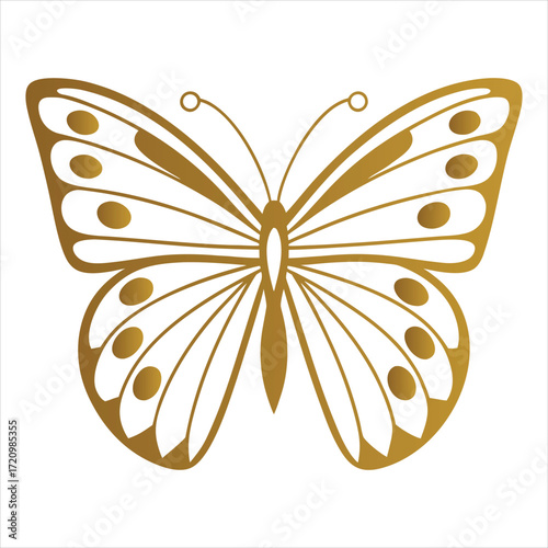 Golden butterfly wings insect