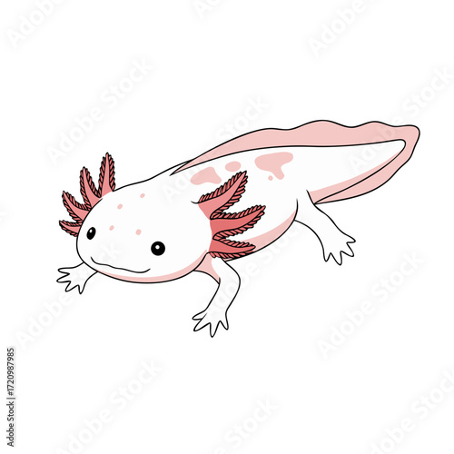 Flat illustration of an axolotl in natural colors isolated on white background