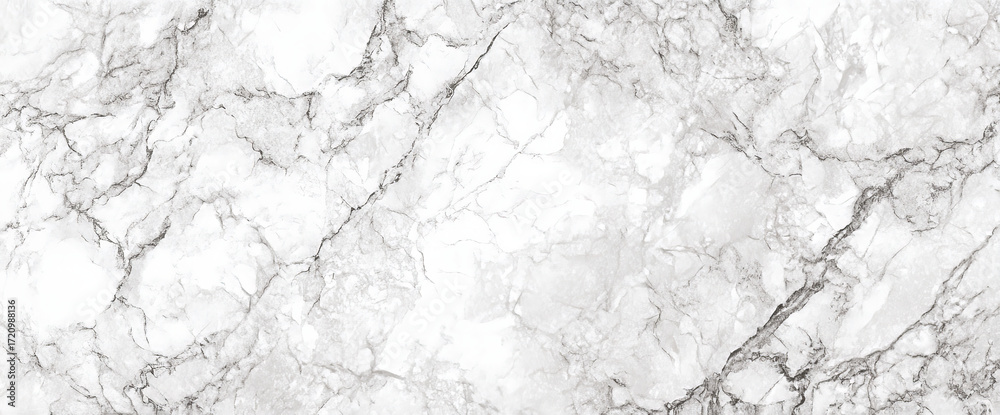 Obraz premium A close-up view of a polished marble surface showcasing intricate gray veining against a bright white background, ideal for interior design projects and architectural applications