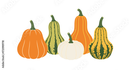 A decorative arrangement of various colorful gourds and pumpkins.