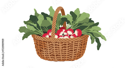 A woven basket overflowing with fresh red radishes and their green leafy tops.