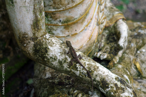 A lizard clings to the arm of an old Buddha statue covered with moss.