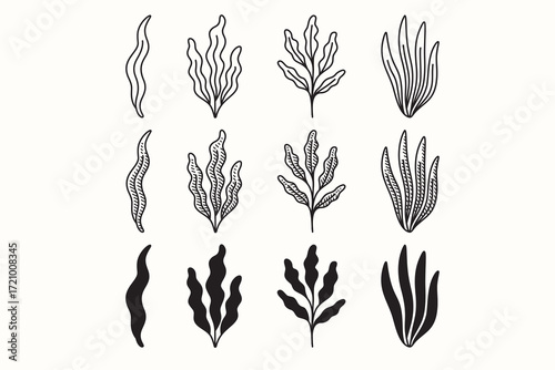 Seaweed frond line icon set. Marine kelp plant silhouette symbol pack. Algae and ocean vegetation engraving element design collection. Ocean, Food, Produce, Nautical, Environment. vector illustration