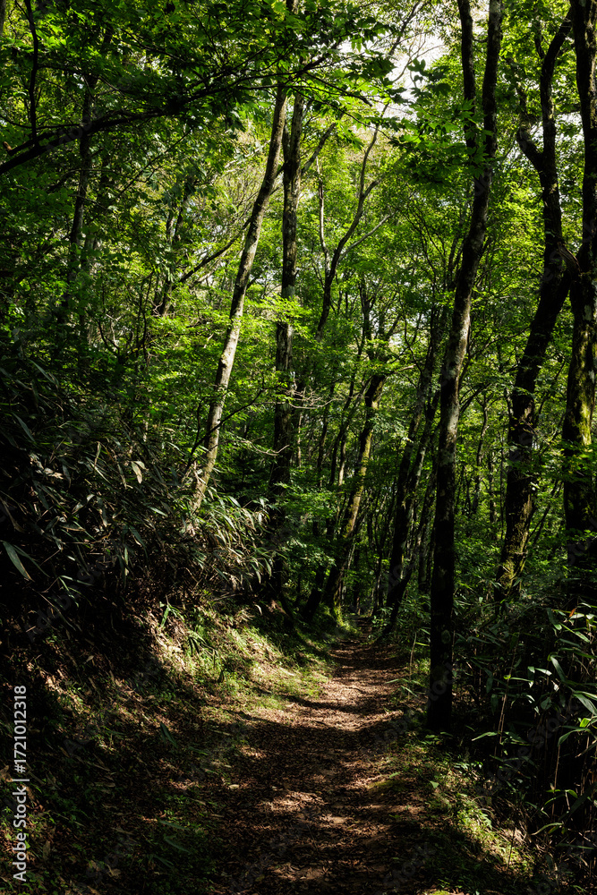 Naklejka premium 四国カルスト 天狗高原セラピーロード