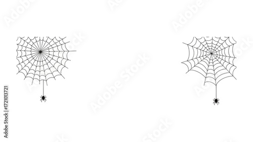 Spiderweb: A striking visual of a spiderweb, showcasing its intricate design and artistry against the backdrop of the clear sky, which evokes a sense of the mysterious.