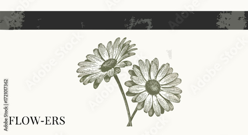 A vintage illustration of two daisies with the word "FLOW-ERS" below them.