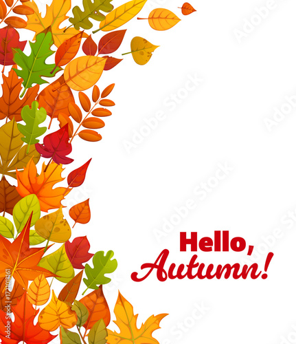 Hello autumn greeting quote text vector banner with vertical border of season fall leaves. Cartoon orange, green, yellow and red foliage of maple, oak and chestnut trees, Autumn season greeting banner