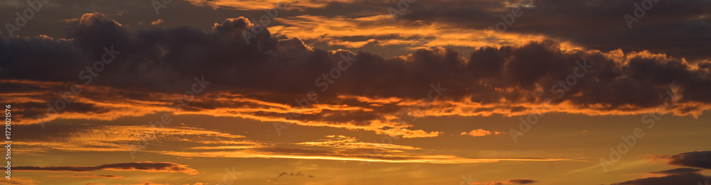 Fototapeta premium Panorama d'un ciel orange et nuages de type cumulus au coucher du soleil
