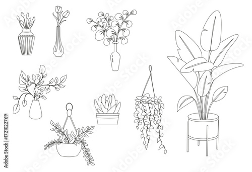 Collection of indoor plants, floor, hanging and tabletop houseplants vector set