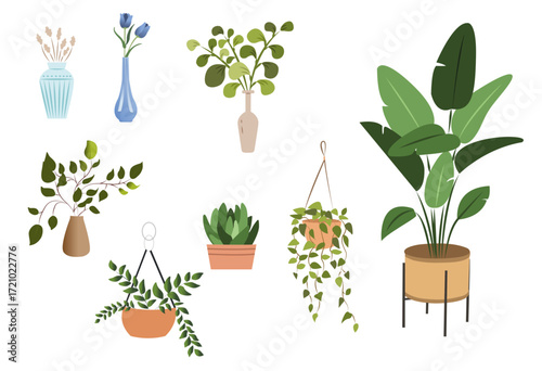 Collection of indoor plants, floor, hanging and tabletop houseplants vector set