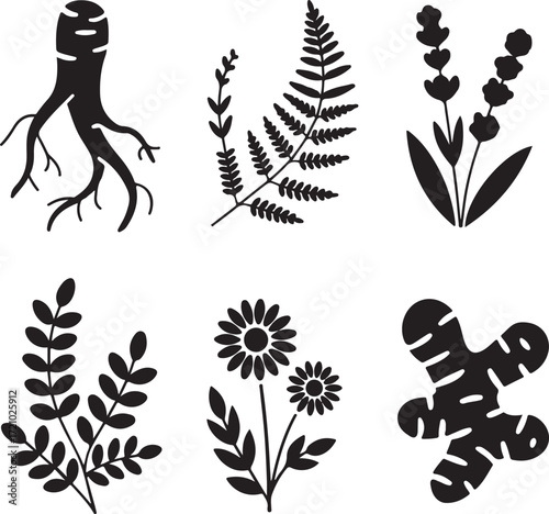 Botanical Elements and Plant Silhouettes root fern