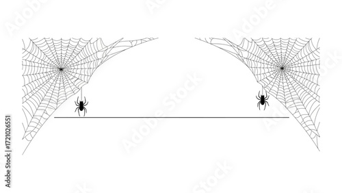 Spiderwebs: Two spiderwebs on a black background and two spiders on a linear connecting these spiderwebs.