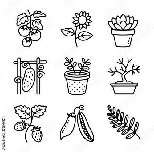 Garden plants and produce icons tomato plant sunflower