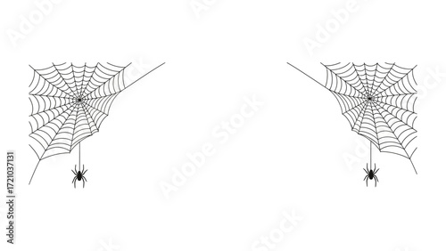 Spider Web Duo: A pair of intricate spiderwebs, each with its own spider dangling below, are captured in a minimalist, line-art composition.