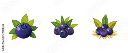 Fresh Juicy Blueberries with Green Leaves, Single and Clusters