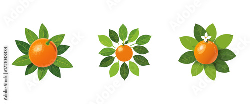 Vibrant Orange Fruit with Lush Green Leaves and Blossom