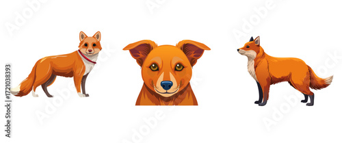 Orange Dog, Fox, Canine, Wild, Domestic, Animals, Furry, Illustration, White Background, Cartoon