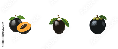 Black Sapote, Mangosteen, and Plum Fruit Illustration with Leaves