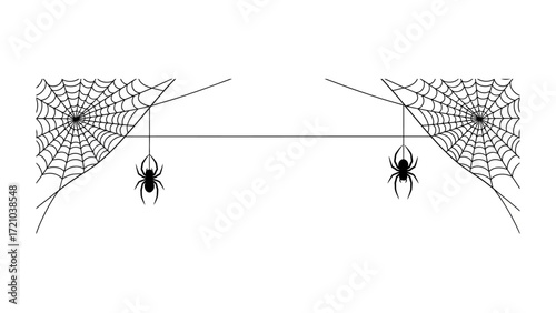 Spider Web: The delicate design of two intricate spiderwebs, each adorned with a hanging spider, create a captivating spectacle of natural architecture.