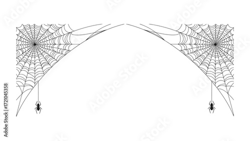 Spider Web Art: A symmetrical, close-up portrayal of two spider webs, featuring detailed designs, the delicate structures evoke a sense of the natural world and evoke a sense of wonder and beauty.