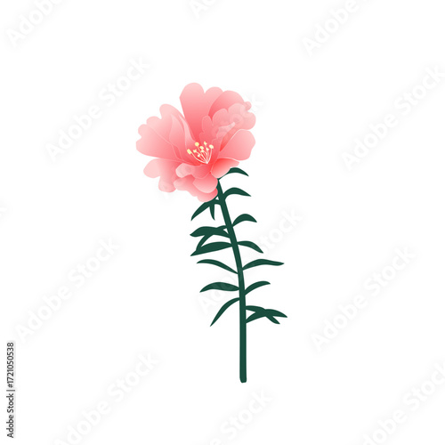 Hand-drawn Pink Flower Vector Illustration