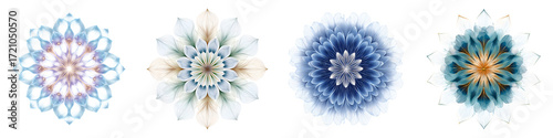 Abstract Floral Mandala Collection on White Background