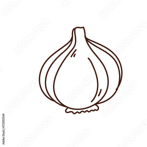 Garlic Bulb