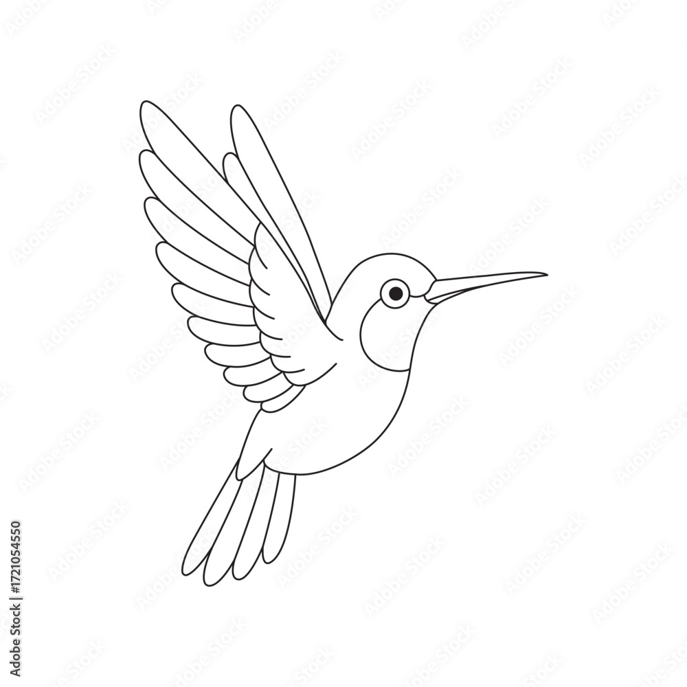 Fototapeta premium Hummingbird Vector Lineart Illustration Design