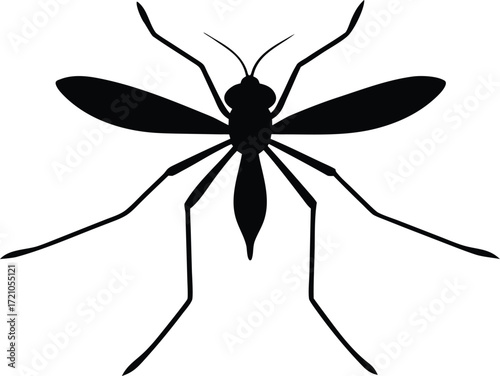mosquito silhouette vector, insect pest illustration
