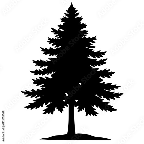 Winter holidays celebration illustration with isolated evergreen tree, its green branches decorated with snow