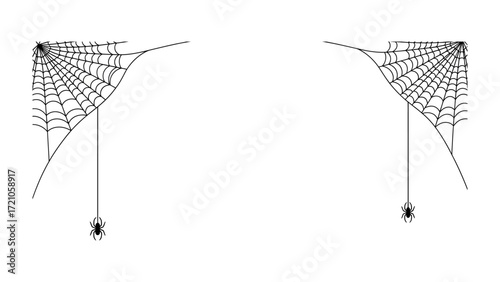 Spiderweb Symmetry: A detailed shot of an intricate spiderweb with two little spiders hanging, evoking both the eerie essence of Halloween and the mesmerizing beauty of natural structures.