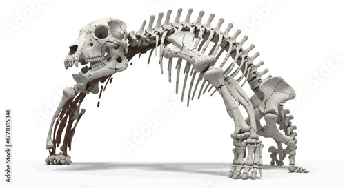 Intriguing fossil skeleton on white, perfect for science projects or educational materials, adding a touch of ancient mystery and historical depth