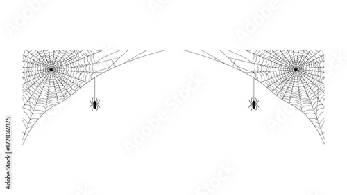 Arachnid Art: Two spiderwebs hang elegantly, each with a tiny spider suspended in the center, showcasing the intricate designs and unique artistry of the animal world.